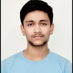 Vidit image