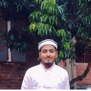 Mohammad Obaidul Islam image