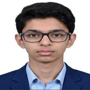 Hassan Raza image