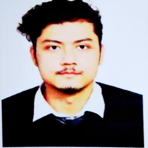 Rahul Parajully image