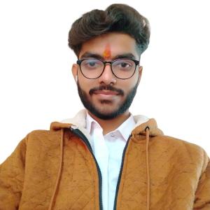 Nitya Prakash Pandey image