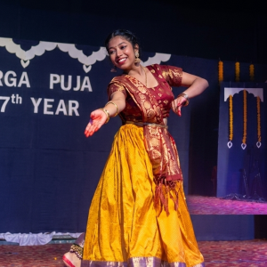 Arya Aditi image