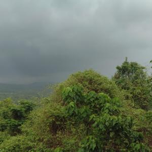 R Seema image