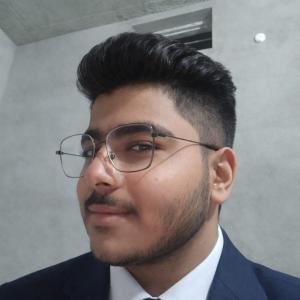 Vansh Malhi image