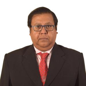 Soumendra Roy image