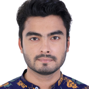Adeel image