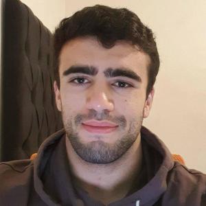 Nabegh image