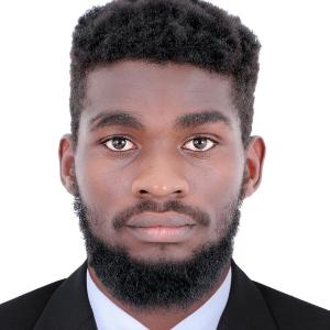 Lemuel Lois image