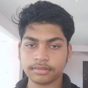 Debananda Sarbhang image