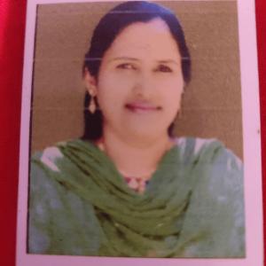 Gulnar Sultana image