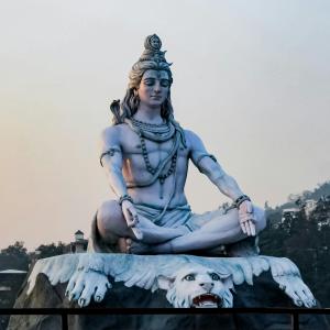 Ashish Kandari image