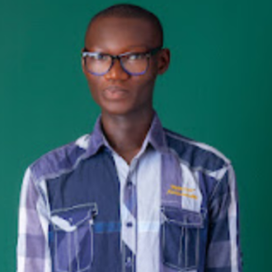Alli Adebayo Abdulsalam image