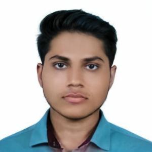 Arnav Raj image