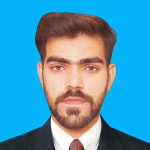 Huzaifa Munawer image