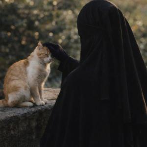 Shaheen Khan image