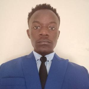 Elvis Ephraim image