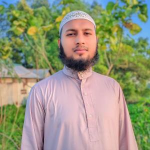 Hafeezal Amin Hossain image