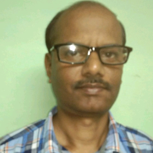 Raj Nikhil image