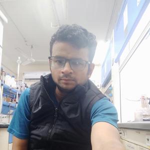 Ankush Gupta image