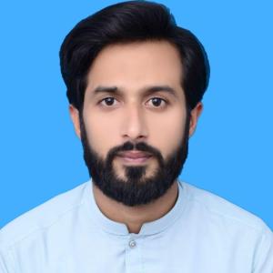 Kamran Mehmood image