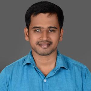 Ramesh P Natarajan image