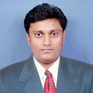 Dineshkumar Birare image
