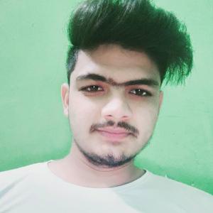 Arjun Raghav image