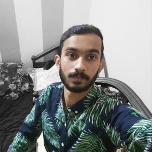 Ali Husnain image