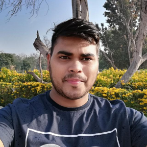 Praveen Kumar image