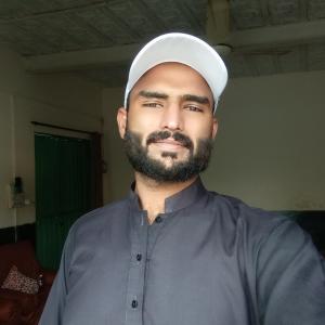 Syed Mujtaba image