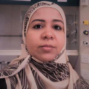 Negla Yagoub image
