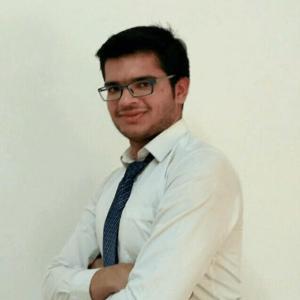 Animesh Vashistha image