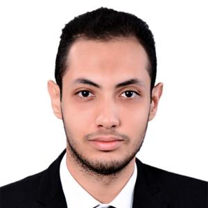 Mohamed Hamissa image