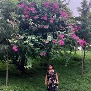 Divya Pramod image