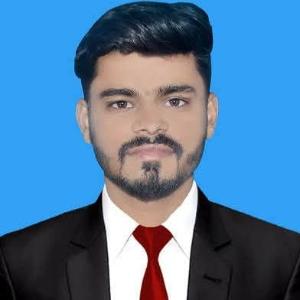 Muhammad Haseeb image
