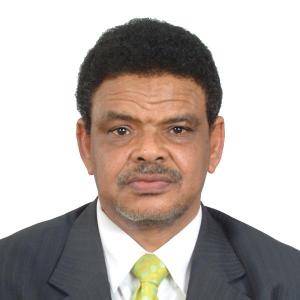 Malik Elmadani image