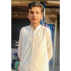 Abdul Sattar image
