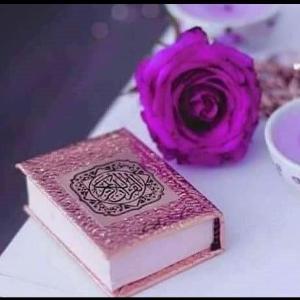 Safia Nadeem image