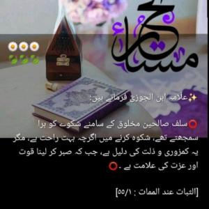 Nasreen Imran image