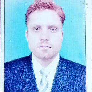 Majid Zamir image