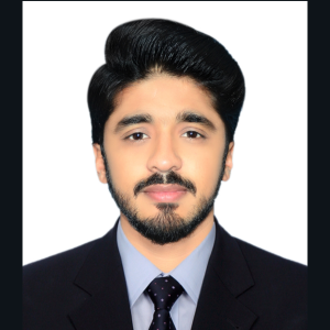 Ali Hamza image